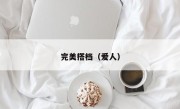 完美搭档（爱人）