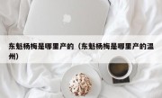 东魁杨梅是哪里产的（东魁杨梅是哪里产的温州）