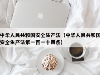 中华人民共和国安全生产法（中华人民共和国安全生产法第一百一十四条）