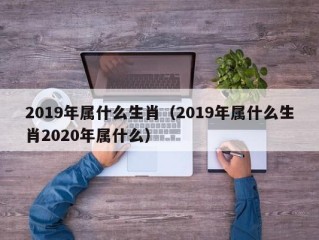 2019年属什么生肖（2019年属什么生肖2020年属什么）