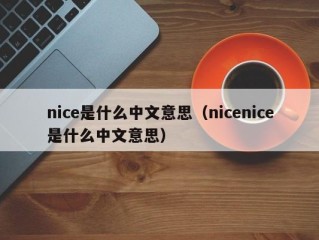 nice是什么中文意思（nicenice是什么中文意思）