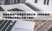 湖南永雄资产管理集团有限公司（湖南永雄资产管理集团有限公司是干嘛的）