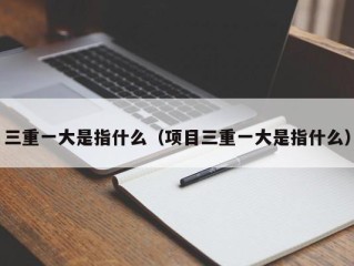 三重一大是指什么（项目三重一大是指什么）