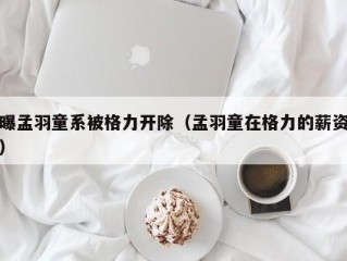 曝孟羽童系被格力开除（孟羽童在格力的薪资）