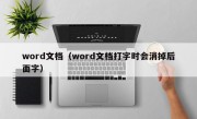 word文档（word文档打字时会消掉后面字）