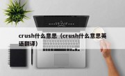 crush什么意思（crush什么意思英语翻译）