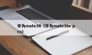 华为mate30（华为mate30e pro）