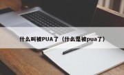 什么叫被PUA了（什么是被pua了）