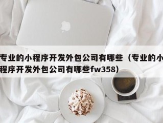 专业的小程序开发外包公司有哪些（专业的小程序开发外包公司有哪些fw358）