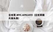 忘忧草.WYC.APK1055（忘忧草图片做头像）