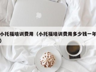 小托福培训费用（小托福培训费用多少钱一年）