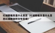 红细胞偏高是什么意思（红细胞偏高是什么意思红细胞体积分布宽度）