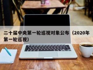 二十届中央第一轮巡视对象公布（2020年第一轮巡视）