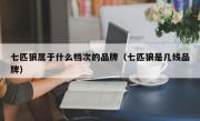 七匹狼属于什么档次的品牌（七匹狼是几线品牌）