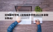 沈阳城市学院（沈阳城市学院2023年录取分数线）