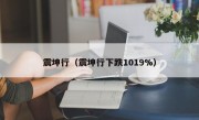 震坤行（震坤行下跌1019%）