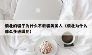 缅北的骗子为什么不敢骗美国人（缅北为什么那么多通缉犯）