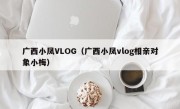 广西小凤VLOG（广西小凤vlog相亲对象小梅）