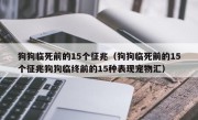 狗狗临死前的15个征兆（狗狗临死前的15个征兆狗狗临终前的15种表现宠物汇）