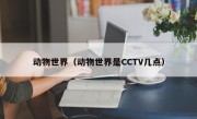 动物世界（动物世界是CCTV几点）