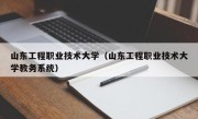 山东工程职业技术大学（山东工程职业技术大学教务系统）