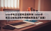 vivo手机忘记密码怎样开锁（vivo手机忘记密码怎样开锁刷机恢复出厂设置）