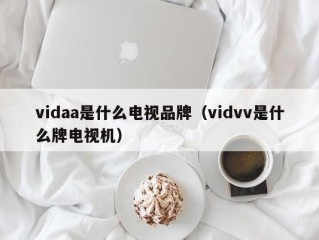 vidaa是什么电视品牌（vidvv是什么牌电视机）