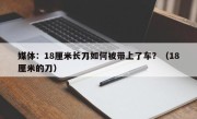 媒体：18厘米长刀如何被带上了车？（18厘米的刀）