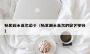 杨紫琼王嘉尔牵手（杨紫跟王嘉尔的综艺视频）