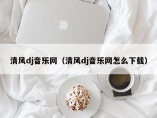 清风dj音乐网（清风dj音乐网怎么下载）