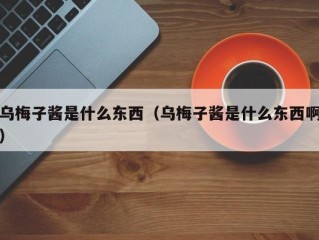 乌梅子酱是什么东西（乌梅子酱是什么东西啊）