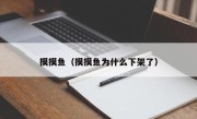 摸摸鱼（摸摸鱼为什么下架了）