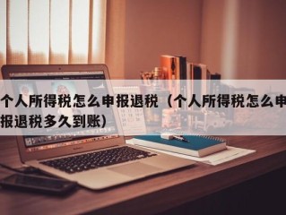 个人所得税怎么申报退税（个人所得税怎么申报退税多久到账）