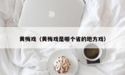 黄梅戏（黄梅戏是哪个省的地方戏）