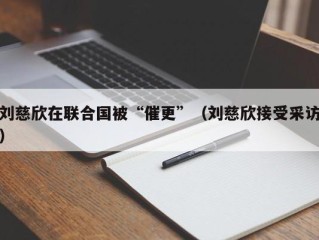 刘慈欣在联合国被“催更”（刘慈欣接受采访）