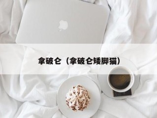 拿破仑（拿破仑矮脚猫）