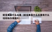 蛟龙果是什么水果（蛟龙果是什么水果有什么功效和作用图片）