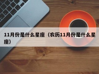 11月份是什么星座（农历11月份是什么星座）