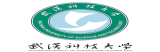 武汉科技大学