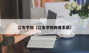 辽东学院（辽东学院教务系统）