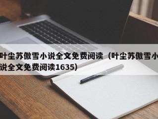 叶尘苏傲雪小说全文免费阅读（叶尘苏傲雪小说全文免费阅读1635）