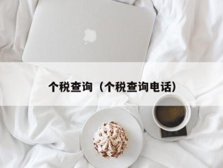 个税查询（个税查询电话）