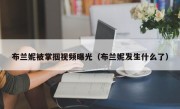 布兰妮被掌掴视频曝光（布兰妮发生什么了）