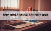 发财树的养殖方法和浇水（发财树的养殖方法）