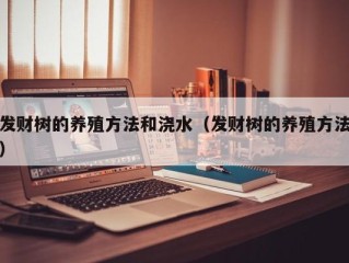 发财树的养殖方法和浇水（发财树的养殖方法）