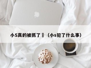 小S真的被抓了嗎（小s犯了什么事）