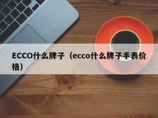 ECCO什么牌子（ecco什么牌子手表价格）