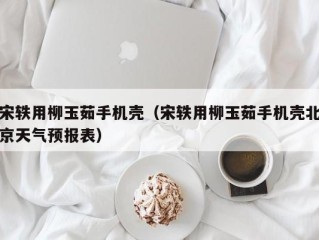 宋轶用柳玉茹手机壳（宋轶用柳玉茹手机壳北京天气预报表）