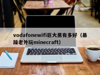 vodafonewifi巨大黑有多好（暴躁老外玩minecraft）