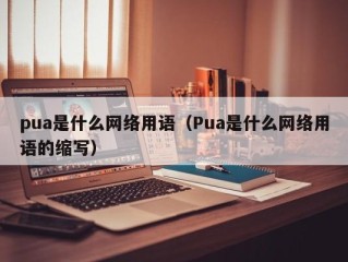 pua是什么网络用语（Pua是什么网络用语的缩写）